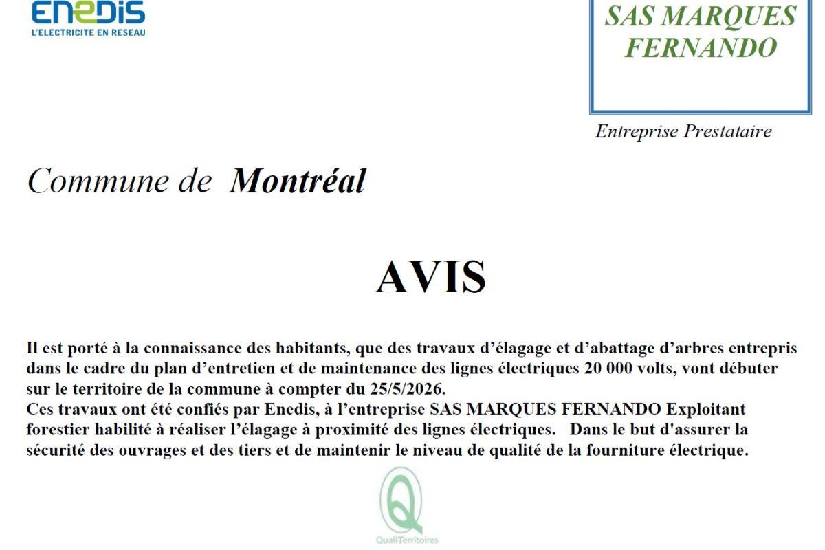 avis
